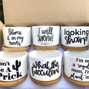 Pode incluir: Conjunto de seis vasos de cerâmica branca para suculentas com letras pretas. Os vasos têm as seguintes frases: "Blame it on my roots", "I will survive", "Looking sharp", "Don't be a prick", "What the succulent", e "I'm not a regular mom, I'm a plant mom".