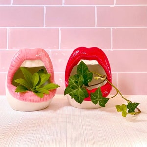 Puede incluir: Dos macetas de cerámica con forma de boca abierta, una rosa y otra roja, con plantas verdes en su interior.