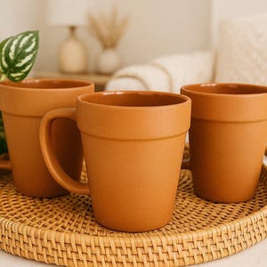 May include: Three terracotta-colored mugs with handles sit on a round, woven rattan tray. The mugs have a simple, cylindrical shape, resembling small flower pots. A green plant with patterned leaves is visible to the left of the mugs.