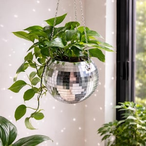 May include: A hanging disco ball planter filled with green leafy plants. The spherical planter is made of mirrored tiles and suspended by a silver chain. The background includes a window and other plants.