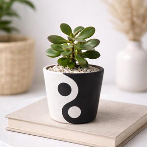Puede incluir: Una pequeña planta suculenta en maceta en una maceta de cerámica en blanco y negro con diseño de yin-yang. La planta tiene hojas verdes y se encuentra sobre un libro de color neutro. La maceta está sobre una mesa blanca.