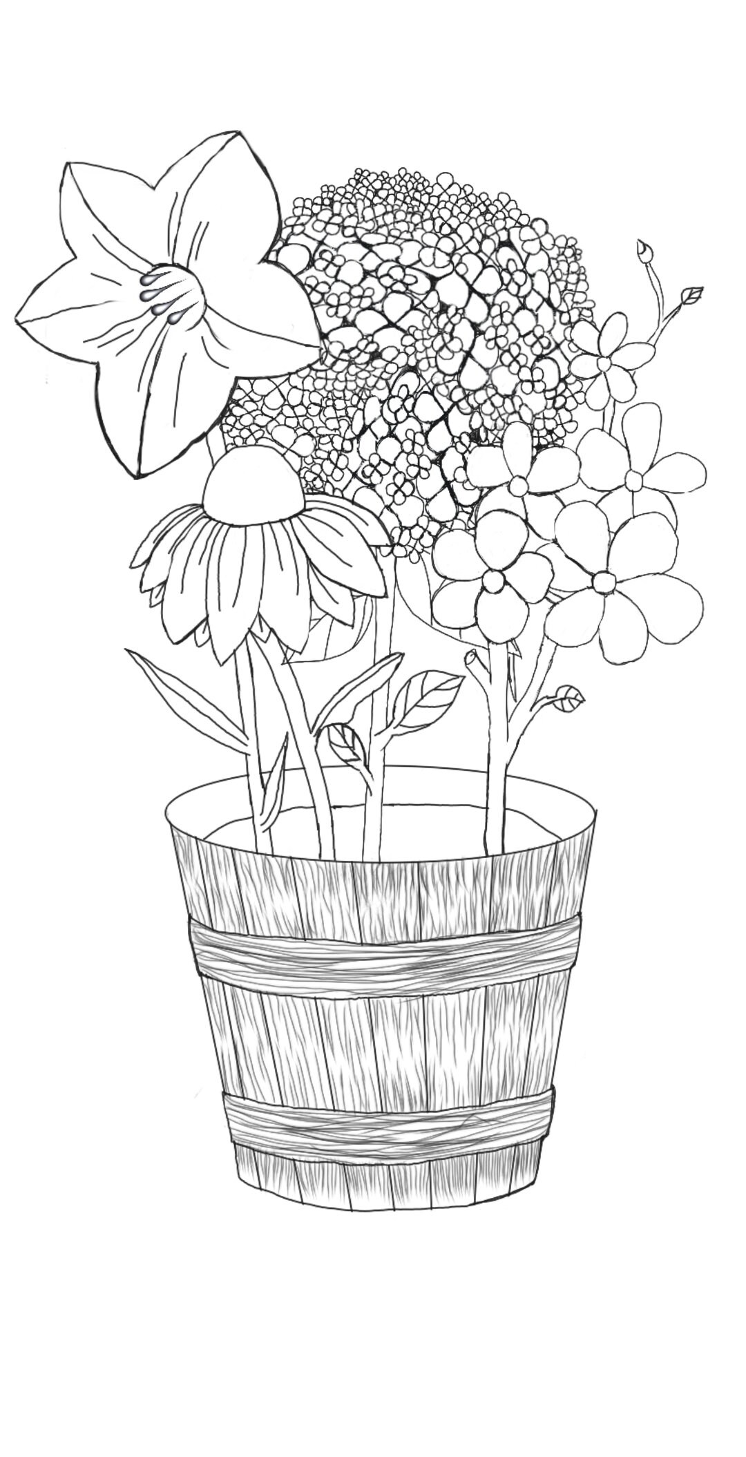 Enchanted Garden Coloring Pages Etsy
