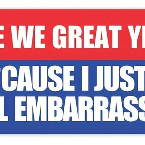 Waterproof Decal Sticker “Are We Great Yet?  ‘Cause I Just Feel Embarrassed.” 30161