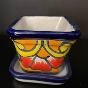 Authentic Talavera Mini Plant Pot and Saucer Set