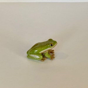 May include: A small, ceramic frog figurine. The frog is a vibrant green color with a lighter green underbelly and tan feet. The frog has black eyes and is posed in a sitting position. The figurine is a decorative item.