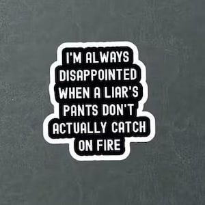 May include: A white sticker with black text that reads: "I'M ALWAYS DISAPPOINTED WHEN A LIAR'S PANTS DON'T ACTUALLY CATCH ON FIRE." The sticker has a black border and is on a grey background.