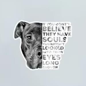 May include: Black and white sticker featuring a dog's face on the left and text on the right. The text reads: "IF YOU DON'T BELIEVE THEY HAVE SOULS YOU HAVEN'T LOOKED INTO THEIR EYES LONG ENOUGH."