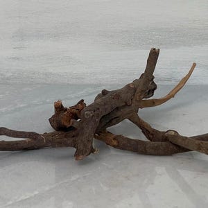 May include: A cluster of dark brown, weathered driftwood branches with a rough, textured bark surface. The branches are interconnected, featuring multiple jagged, irregular offshoots and broken ends, creating a complex, organic, and sculptural form.