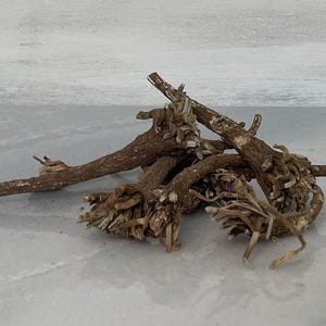 Devil Shoestring Root: Hoodoo Protection Talisman, Evil Energy Repellent