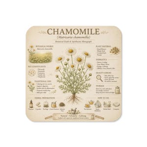 以下が含まれることがあります： CHAMOMILE (Matricaria chamomilla) と題された正方形の植物ガイドおよび薬局方モノグラフのプリント。白い花を咲かせたカモミールの植物のイラストが中央に描かれ、その周囲には植物の起源、成分、用途、植物素材、エネルギー、品質チェック、保管方法、調製方法を詳述するテキストが配置されています。