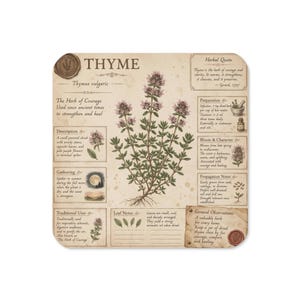 以下が含まれることがあります： タイムの植物のヴィンテージ風ボタニカルイラストが描かれた正方形のコースター。デザインには「THYME」、「Thymus vulgaris」という文字や、ハーブの引用、説明、採取方法、伝統的な用途などが詳細に記されたセクションが含まれています。
