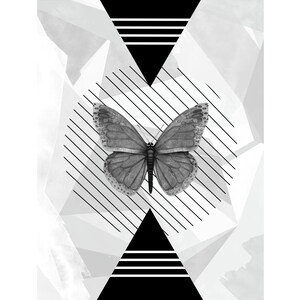 Butterfly digital download