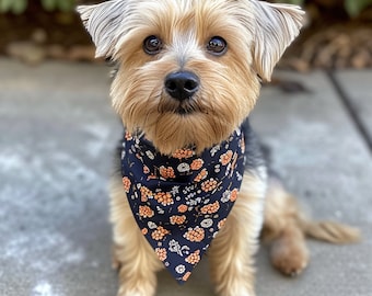 Elevate Your Pet's Style with DIY Bandanas