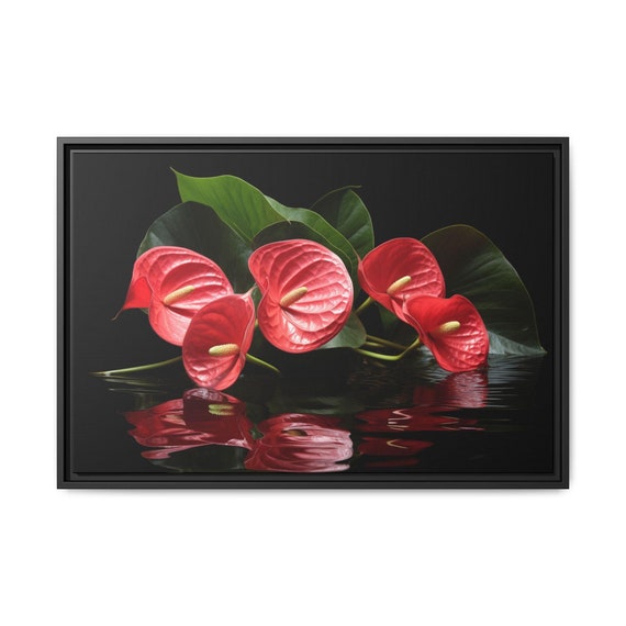 Anthurium (flamingo Flower) on a Black Background Wall Art Design | Canvas  Print Dcor Home & Office Decoration | Canvas Ready to Hang - Etsy