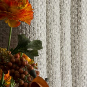 Texturerad vit gardin: Silverdetalj, elegant fönsterdraperi