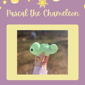 May include: A light green crocheted chameleon toy with black eyes is held up in front of a blurred background. The text "Pascal the Chameleon" is above the image, with a sun graphic and floating lanterns.