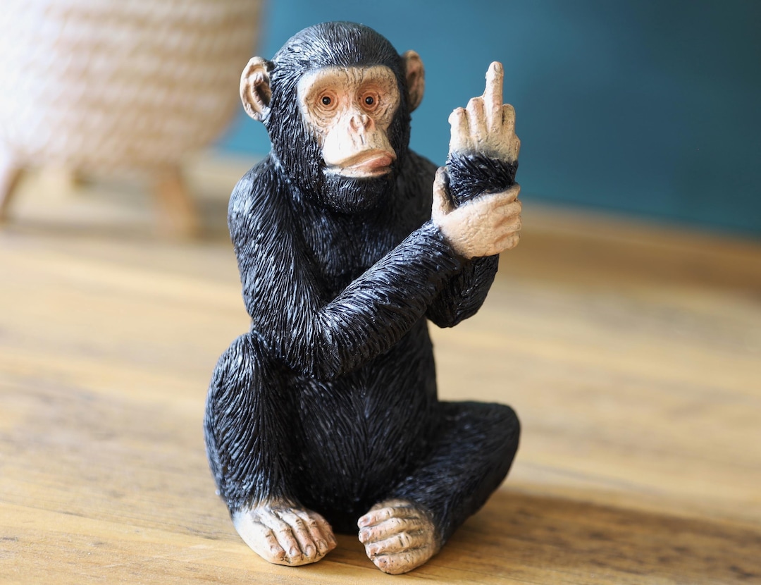 Up Your Ass Monkey Rude Stupid Monkey Ornament 12cm