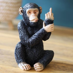 Ornamento scimmia stupida e maleducata Up Your Ass Monkey 12 cm