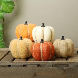 Calabazas de otoño Decoración de otoño Naranja Marrón natural