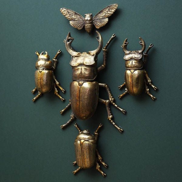 Gold Steampunk Stag Lady Scarab Bee Beetles Wall Insects Bugs Wall Art Hangings Ornament Décor