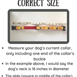 Op de afbeelding: Een rood en geel hondenhalsband met een schuifgesp. Het halsband wordt gemeten met een meetlint, wat een lengte van 16 inch aangeeft. De tekst "HOW TO MEASURE FOR CORRECT SIZE" staat bovenaan de afbeelding.