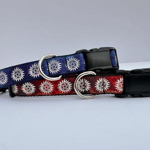 Anti posession 1 inch Dog Collar