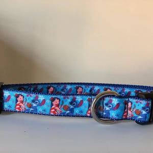Hawaiian Friends 1 inch Dog Collar