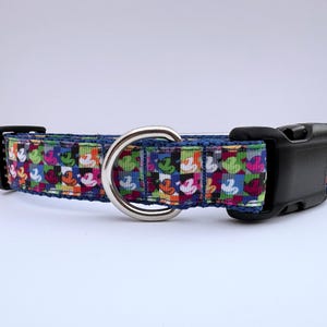 Popart 1 inch Dog Collar