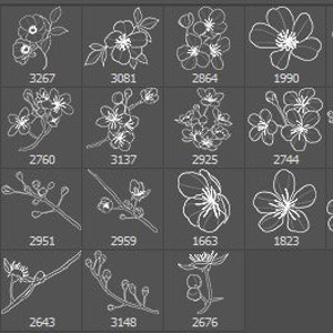 Cherry Blossoms Procreate Brush Photoshop Stamp Oriental Tattoo Pattern ...