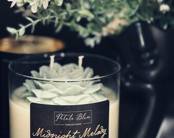 Midnight Melody
