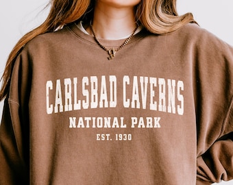 Carlsbad Caverns National Park Sweatshirt Comfort Colors Granola Girl Protect Our Parks New Mexico Sweatshirt Desert Shirt Caverns Shirt
