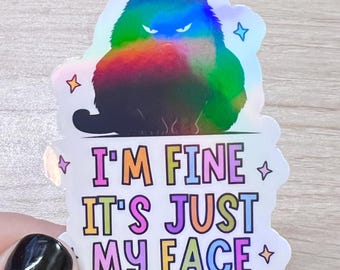 Grumpy Cat Holographic Vinyl Sticker, Sarcastic Attitude Decal