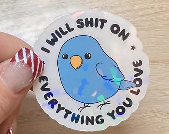 Funny Bird Sticker | Sarcastic Laptop Decal, Holographic Vinyl