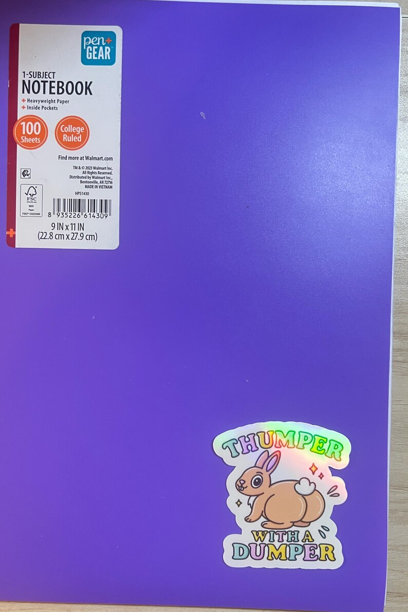 Grumpy Thumper Rabbit Sticker Thumper With a Dumper Holographic Sticker • Funny Bunny Decal - Etsy