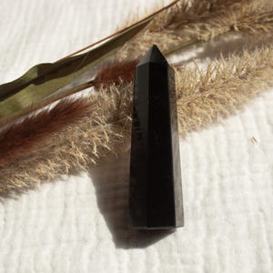 May include: A black obsidian crystal point, also known as a wand, is displayed on a white surface with dried pampas grass.