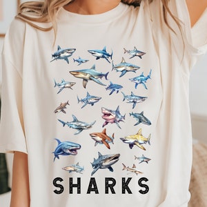 Shark Shirt, Shark Fan Week Tshirt, Unisex Shark shirt, Shark lover Gift, Ocean Shark Shirt, Whale Shark Shirt, shark lover tee, Marine Tee