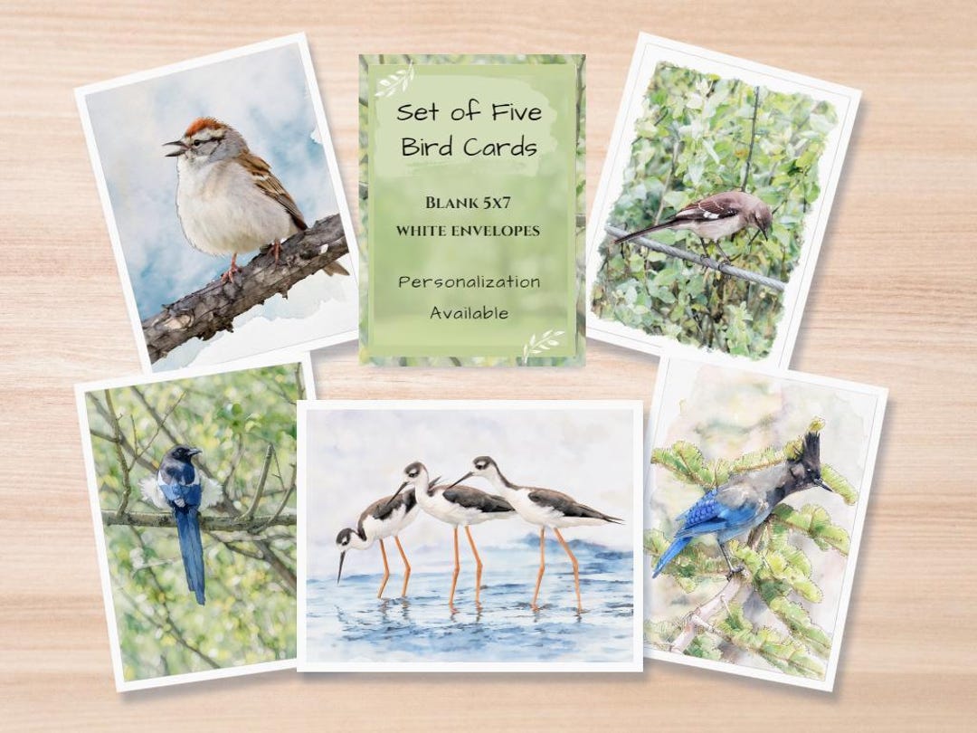 Set of 5x7 Bird Cards, Blank Nature Notes in Photo Art Style ...