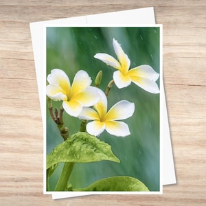 Hawaiian Plumeria Flower Note Card, Original Photo Art, Personalized Greeting, #4