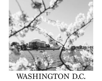 Washington D.C. Kirschblüte Reiseposter (B&W)