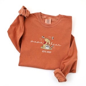 Embroidered Winnie the Pooh Mickey T-shirt Hoodie, Winnie The Pooh Characters Crewneck, Disneyland Embroidered Hoodie, Bear Shirt