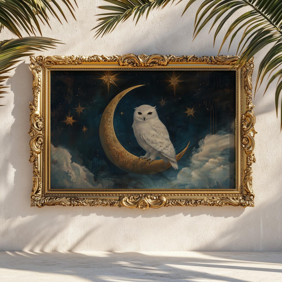 Illustration Dun Hibou Tenant Un Cadeau En Format Vectoriel Sur Un Fond