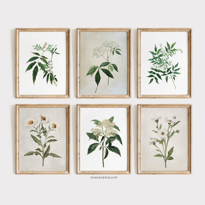 Botanical Prints Set of 6 - Etsy