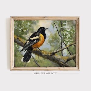 Baltimore Oriole Bird Painting, Digital Print Download, Nature and Wildlife Art, Birdwatching, Bird Lovers Wall Decor, Instant Print