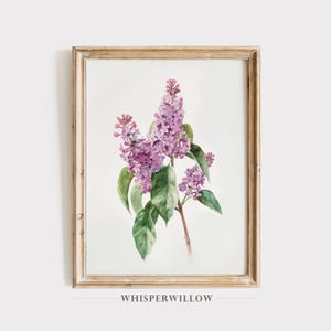 Purple Lilac Flowers Watercolor Painting, Digital Printable Download, Vintage Botanical, Colorful Bloom, Elegant Floral Wall Decor