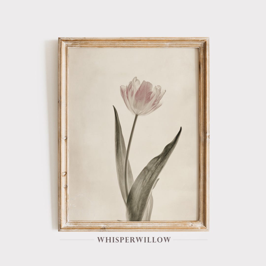 Vintage Tulip Botanical Wall Art - PRINTABLE Download, Neutral Beige ...