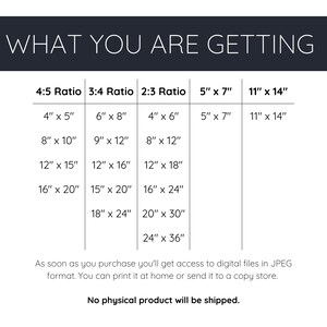 May include: A chart showing different aspect ratios and their corresponding dimensions in inches. The chart includes 4:5, 3:4, 2:3, 5" x 7", and 11" x 14" aspect ratios. The text "WHAT YOU ARE GETTING" is at the top of the chart.