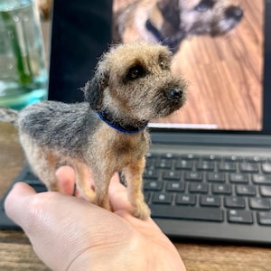 Custom needle felted pet, handmade mini pet, pet clone ,custom pet replica, pet portrait, pet memorial gift,pet memorial item, wool felted