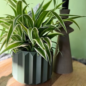 Op de afbeelding: Een sprietplant met lange, puntige groene bladeren met witte randen, geplant in een donkergroene, cilindrische pot met een verticale, geometrische, geplooide textuur. Naast de pot staat een hoge, donkerbruine, getrapte kandelaar.
