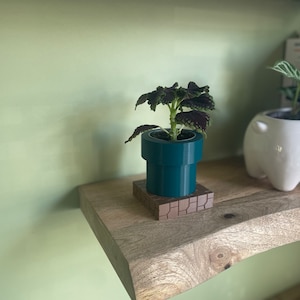 Op de afbeelding: Een kleine kamerplant in een teal-kleurige pot, die lijkt op een videogamepijp, staat op een houten plank. De pot staat op een bruine, baksteenpatroon basis. De plant heeft donkergroene en paarse bladeren.