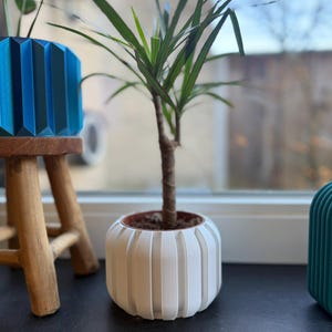 Ribelle Planter STL | Modern Plant Pot | Decorative Indoor Planter | 3D Printable Home Decor
